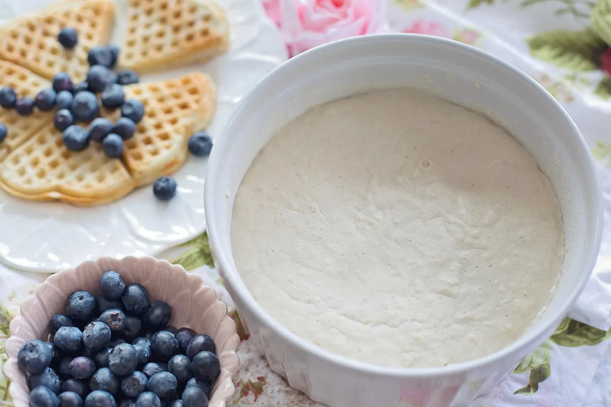 sourdough starter, baking, bread starter, yeast, bake, nutrition, sourdough starter, sourdough starter, sourdough starter, sourdough starter, sourdough starter,