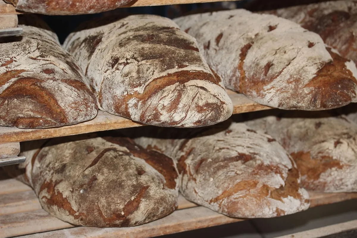 bread, loaves, bakery, loaves of bread, fresh bread, freshly baked, dough, artisan bread, flour, yeast, food, healthy, carbohydrates, baker, homemade, baked, ba