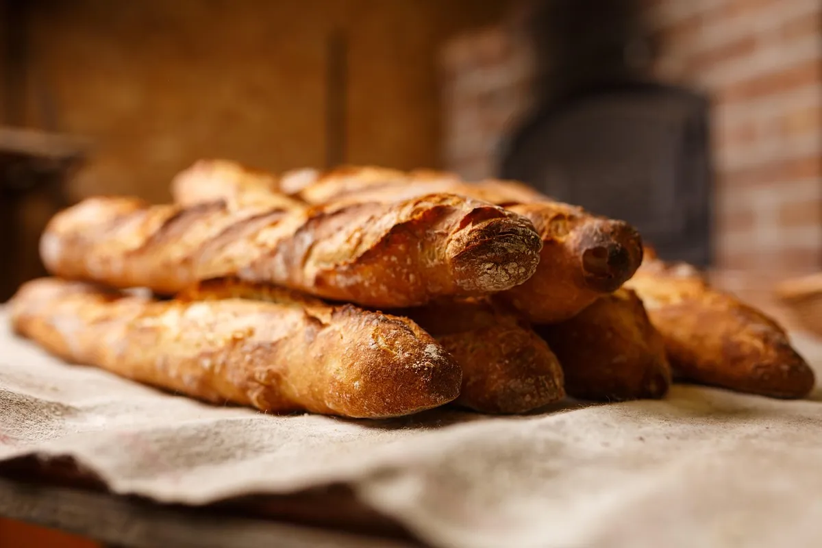 loaf, bakery, preparation, fresh bread, baker, meal, nourishment, baguette, dough, flour, craft, authentic, rye bread, wheat bread, to bake, biological, bakery,