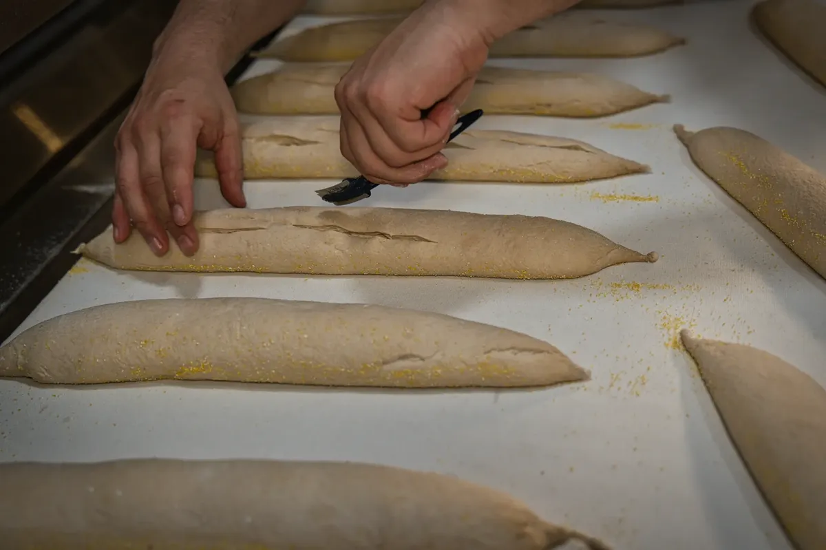 Hands crafting artisan bread loaves, showcasing traditional baking techniques in a Berlin bakery.
