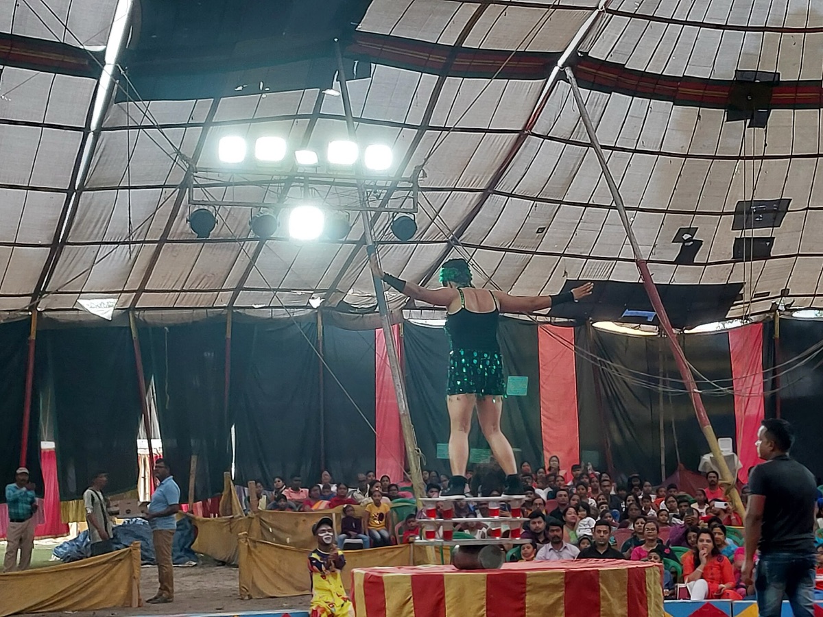 Cirque en action