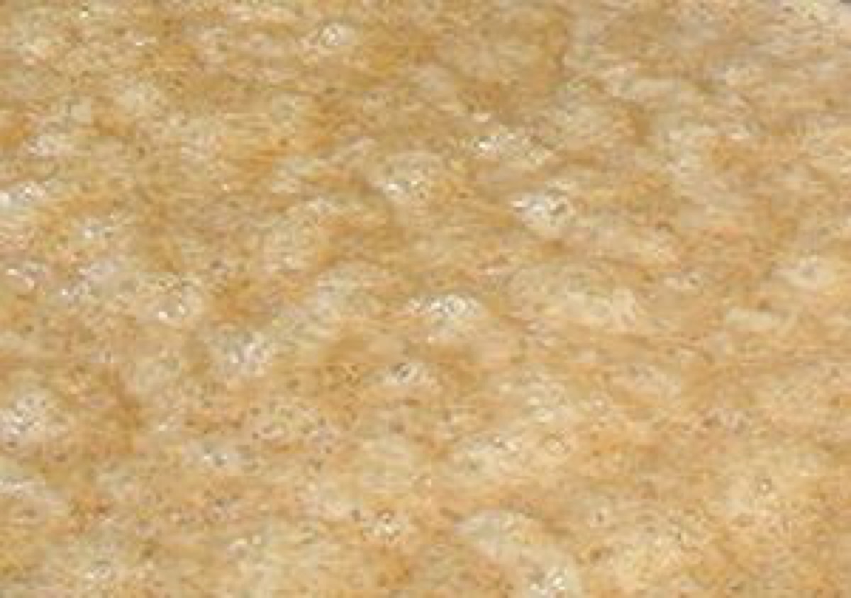 Fermentation in kitchen, yeasts, soft natural light