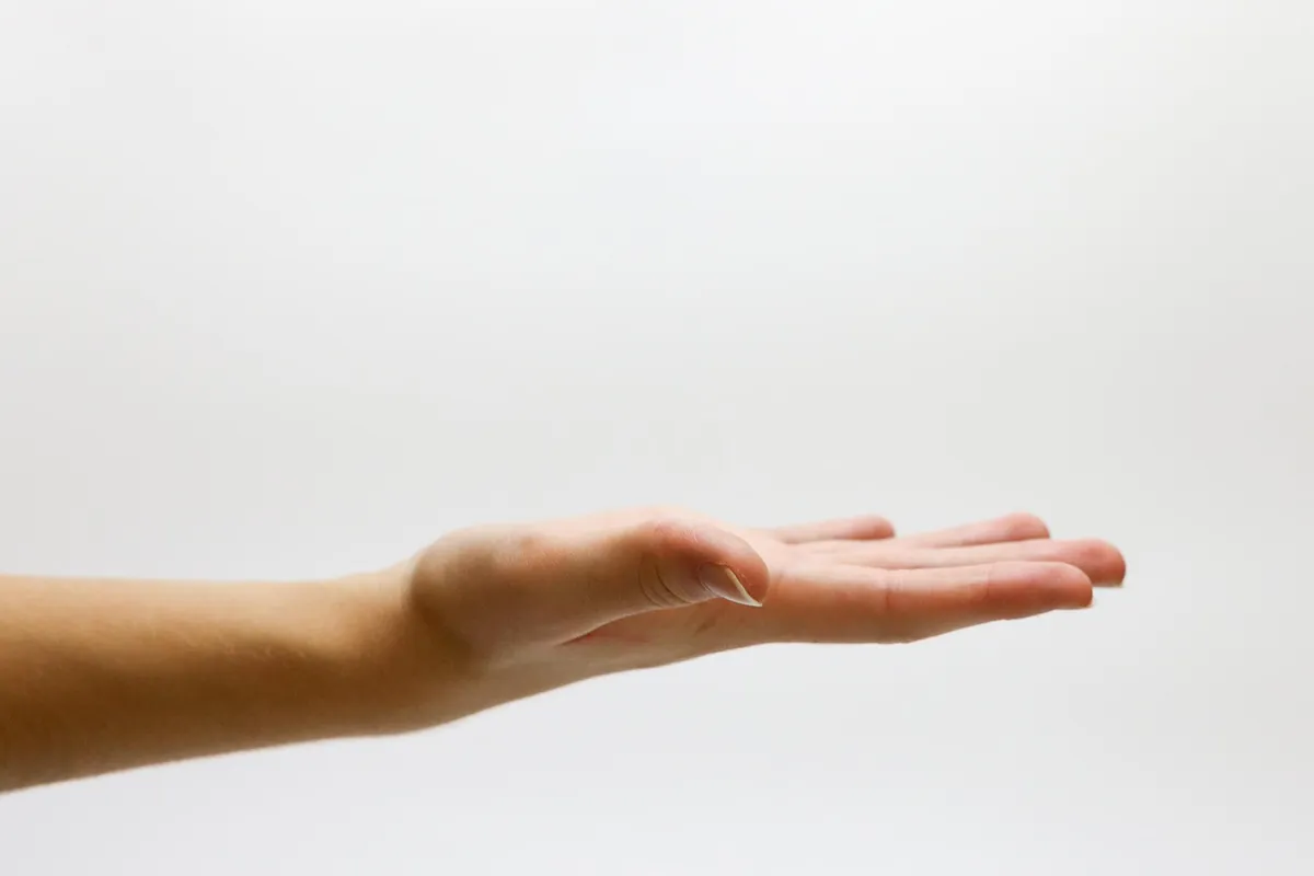 hand, asking, offering, white background, hand, hand, hand, hand, asking, asking, asking, asking, asking, offering, offering, offering